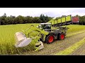 Harvesting fiber hemp | Claas Xerion 4000 | Vezelhennep oogst | DunAgro