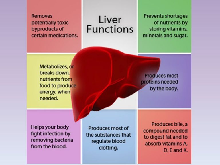 liver