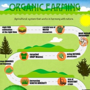 organic farm