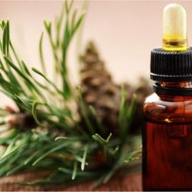 pine essential oil