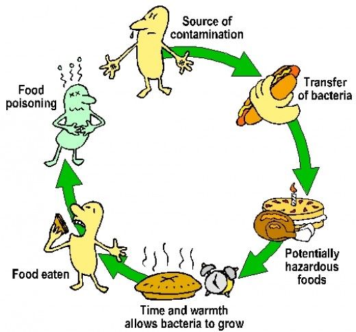 food diseases