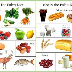 paleo or not