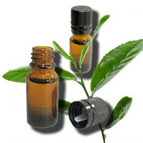 Tea Tree Essential Oil