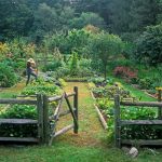 Organic Chemical Free Gardening