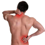 Herbal Remedies For Back Pain