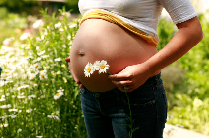 pregnancy and herbs